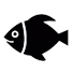 Nos poissons frais